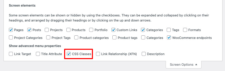 Activate the class options in WordPress's menu