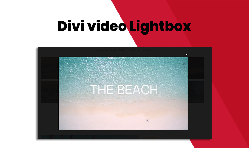 Divi video lightbox with Divi Video Gallery